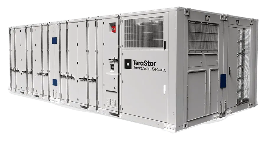TeraStor P8000