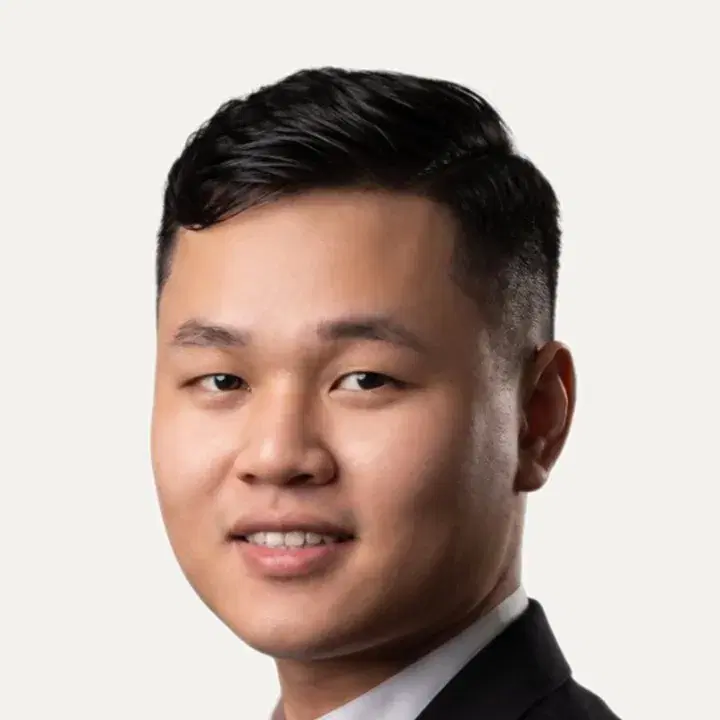 Vu Lam